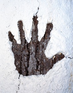 "Ritual Trees" hand detail