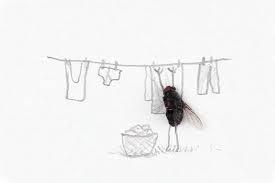 Magnus Muhr 's "Laundry"