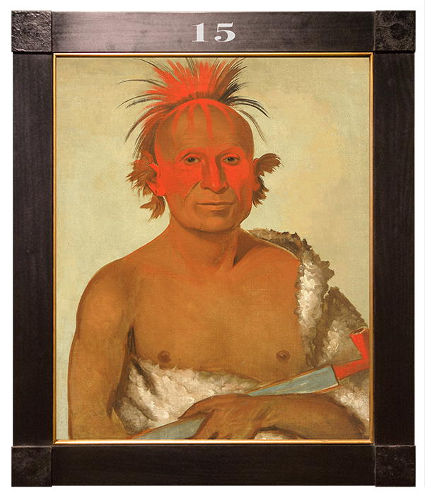 George Catlin's Indian Gallery: A Cross-Curricular Lesson Plan