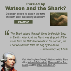 Puzzled by Watson and the Shark?