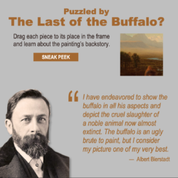 Puzzled by The Last of the Buffalo?